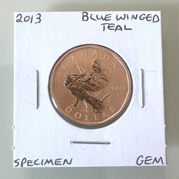 2012, 2012, 2013 and 2013 Canada Special Edition Specimen $1 Dollar Loonies! - Picture 9 of 10